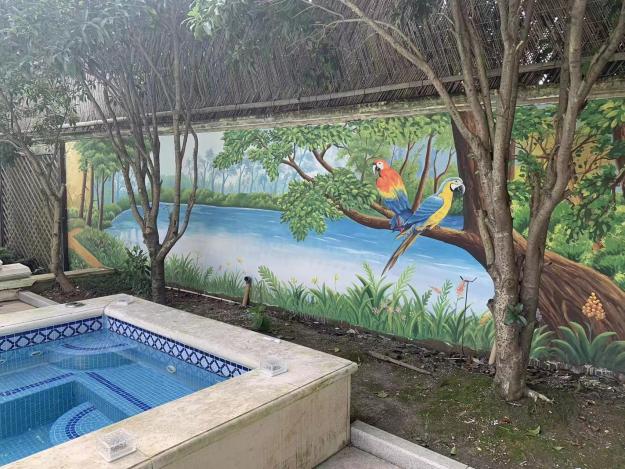 墙绘质保时间多久？